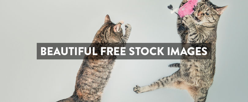 freestockimages